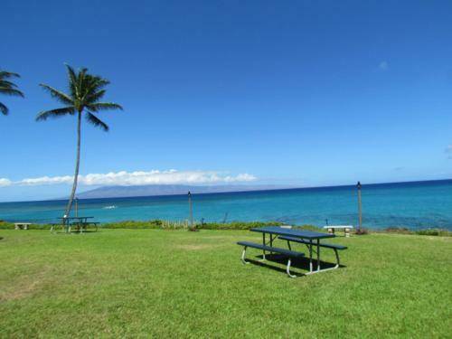 Apartamento Polynesian Shores #101