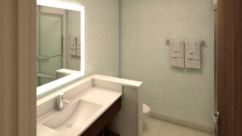 Hotel Holiday Inn Express Donaldsonville