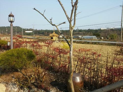 Starlight Journey Pension