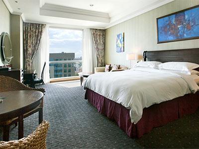 Hotel Catalonia Santo Domingo