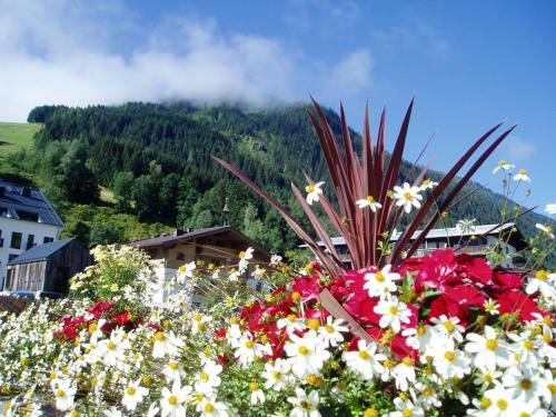 Apartamento Am Zw�lferkogel Appartements