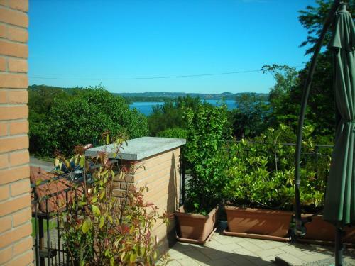 Bed & Breakfast La Folaga