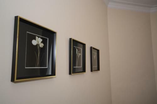Townhead Apartments Gallery View