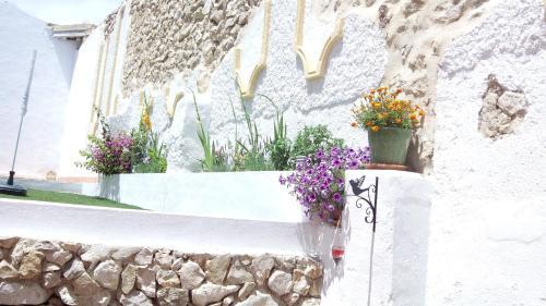 Agroturismo El Almendro Y La Monta�a