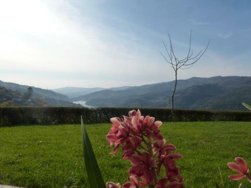 Hostal Quinta Do Bento
