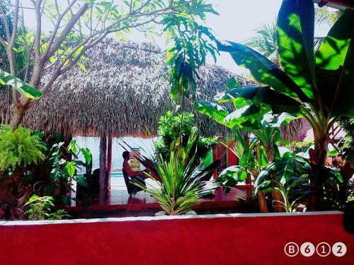 Hotel Tunco Lodge