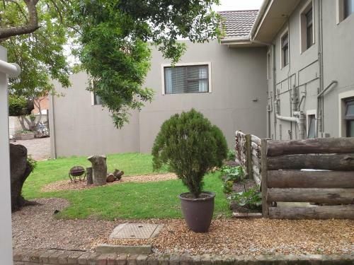 Bed & Breakfast Maitland Meander