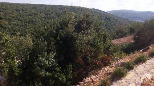 Apartamento Nof Hahoresh Shtula