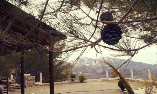 Agros Timber Log House