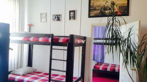 Albergue Andrew Loft Guest House