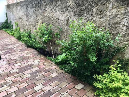 Apartm�ny U Vav?ince