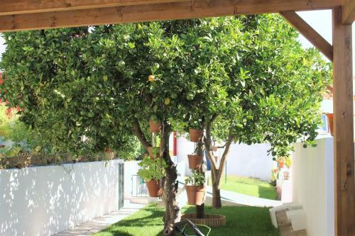 Alg�s Village Casa 2