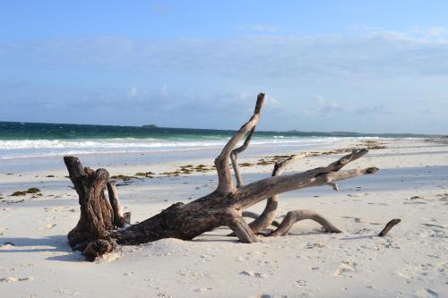 Turtle Bay Bed And Breakfast