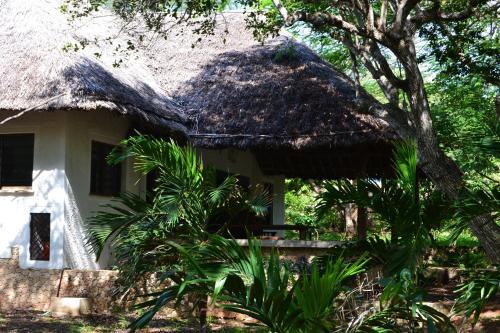Turtle Bay Bed And Breakfast