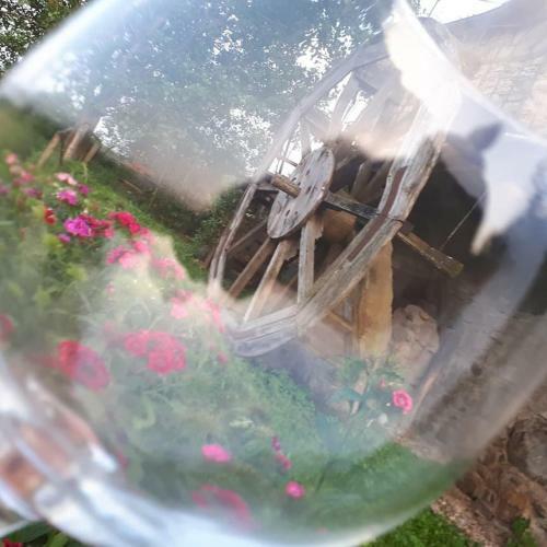 Agroturismo Podere Casina Rossa