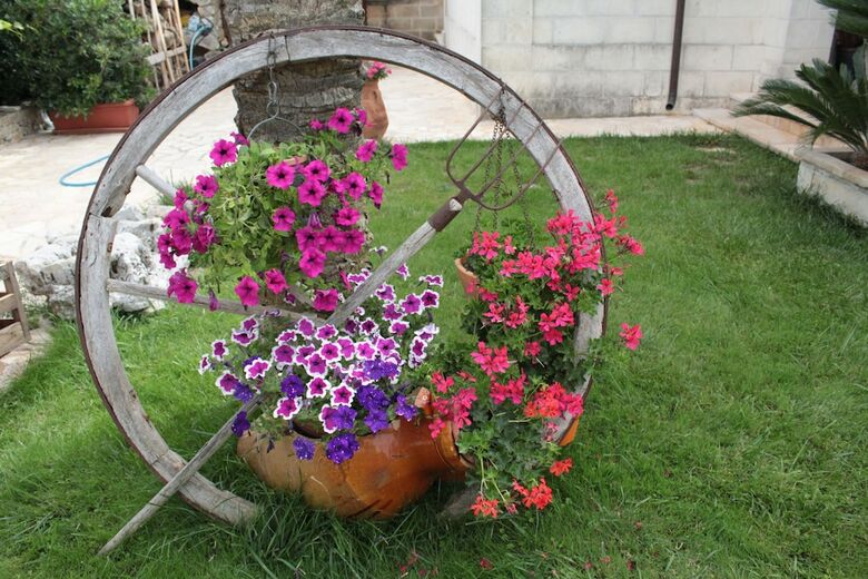 Bed & Breakfast La Suite Nel Bosco