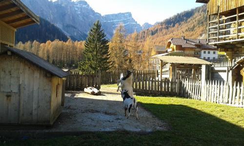 Hotel Pension Odles