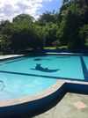 Posada Valley View Lodge - Finca Huetares
