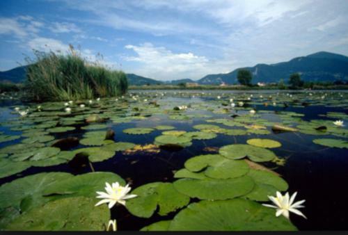 Apartamento Iseo Lake Home Nature & Relax