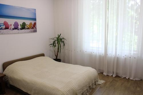 Apartment For Guests With Soul