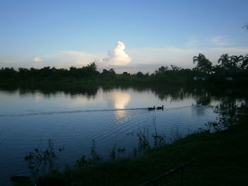 Hotel Freddie's Fishing Park