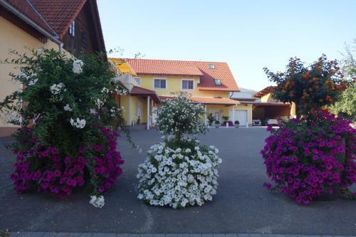 Apartamento Bio- U. Gesundheitsbauernhof Offenbacher