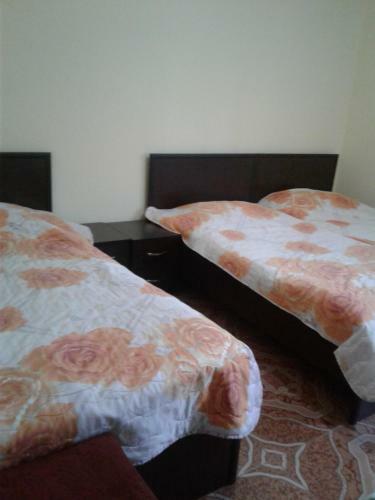 Hostal Gonio House