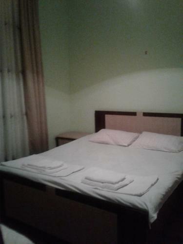 Hostal Gonio House