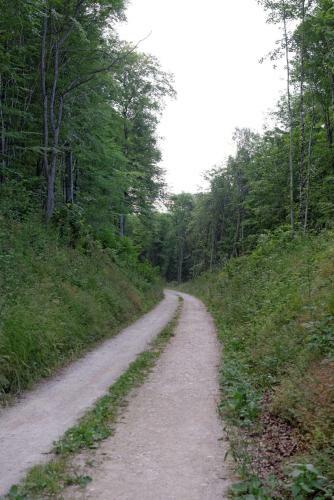 Hostal Hermitage St Roch