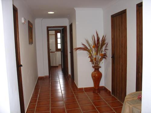 Bed & Breakfast El Lagar De Pepe