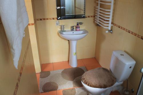 Hostal Cottage U Yaremy Mykulychyn
