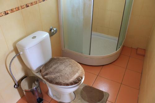 Hostal Cottage U Yaremy Mykulychyn
