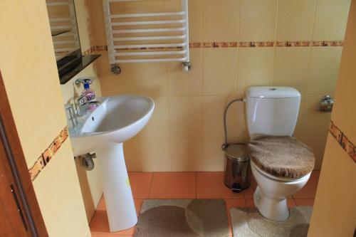 Hostal Cottage U Yaremy Mykulychyn