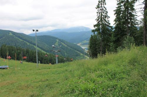 Hostal Cottage U Yaremy Mykulychyn