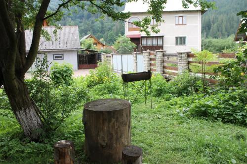 Hostal Cottage U Yaremy Mykulychyn