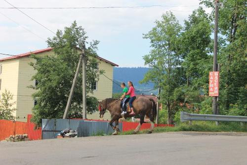 Hostal Cottage U Yaremy Mykulychyn