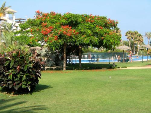 Apartamento Venavera Playa Jardines G3-1a