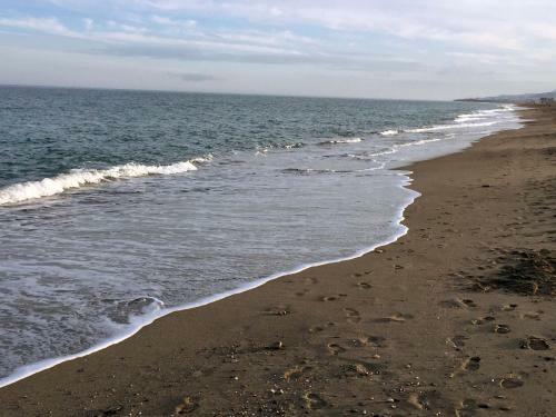 Apartamento Venavera Playa Jardines G3-1a