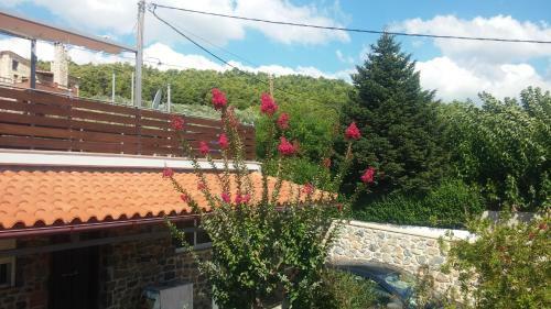 Villa Sotiriou