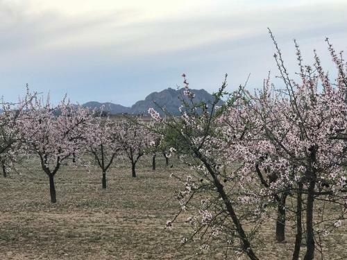 Agroturismo Cortijo De Los Castellanos