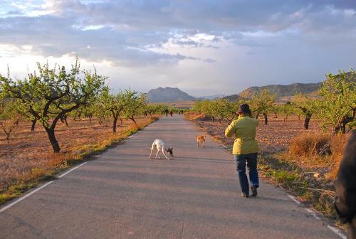 Agroturismo Cortijo De Los Castellanos