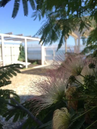 Holiday Home Lavanda
