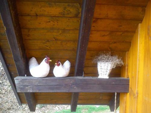 Apartamento Mittlerer K�lblinshof