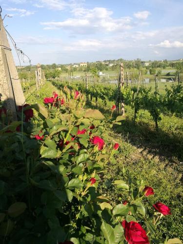 Agroturismo Il Melograno