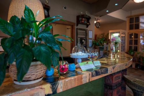 Hotel Guest House Blizhnie Dubki