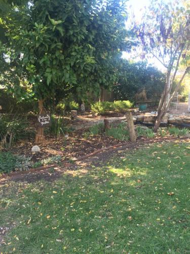 Carlyle House B&B