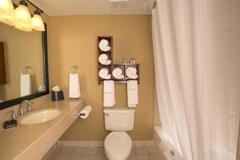Best Western Plus Lake Lanier/gainesville Hotel & Suites