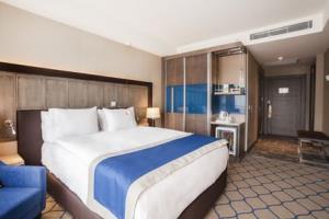 Hotel Holiday Inn Kayseri - Duvenonu
