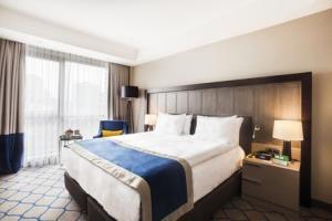 Hotel Holiday Inn Kayseri - Duvenonu