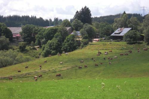 Agroturismo Hofgut Duerrenbuehl